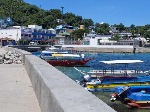 un grupo de barcos en el agua cerca de un muelle en Jenny, en Puerto Galera