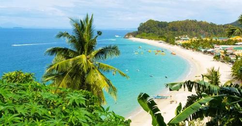 una playa con palmeras y gente en el agua en Jenny, en Puerto Galera