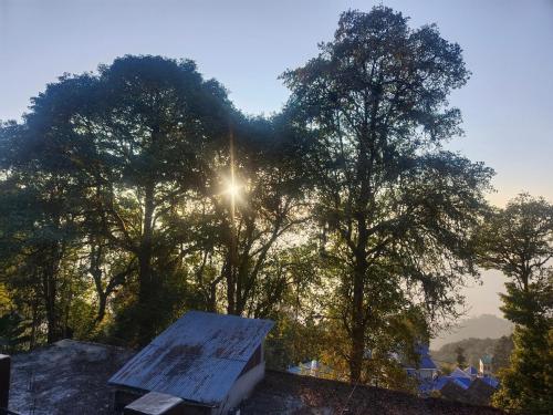 una vista desde el techo de una casa con árboles en el fondo en Shrubbery Homestay and Guest house, en Darjeeling