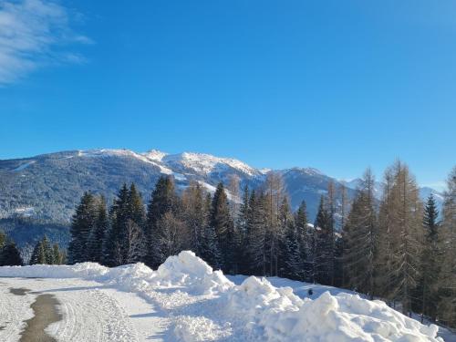 a pile of snow on the side of a mountain at Flat in Wagrain near Ski Slopes in Wagrain