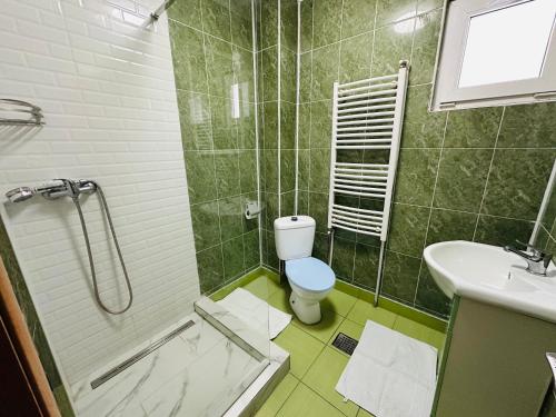 a bathroom with a shower and a toilet and a sink at Vila La Famiglia in Eforie Nord
