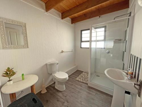 a bathroom with a toilet and a sink and a shower at Jeffreysbay charming wooden house close to beach in Jeffreys Bay