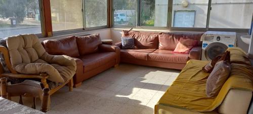 a living room with two couches and a couch and chairs at משפחתית בשובה 