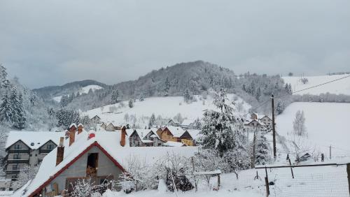 ポイアナ・マルルイにあるCasa Ioanaの雪山を背景にした集落