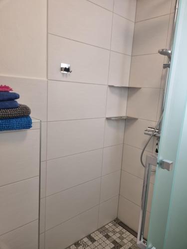 een douche met een glazen deur in de badkamer bij Tammwarftshof in Pellworm