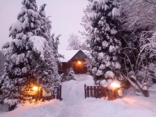 a snow covered yard with two trees and a cabin at Amigówka in Wieliczka