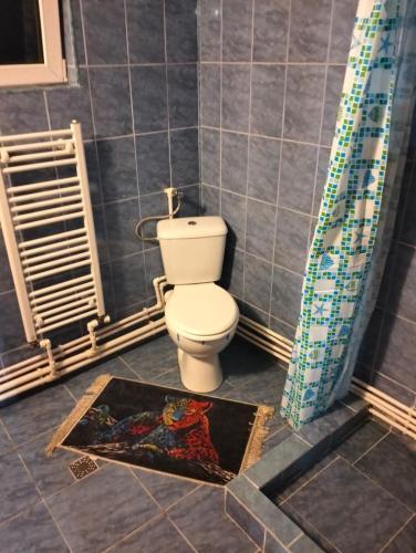a bathroom with a toilet and a rug at Cabana Alexe Mărișel in Mărişel