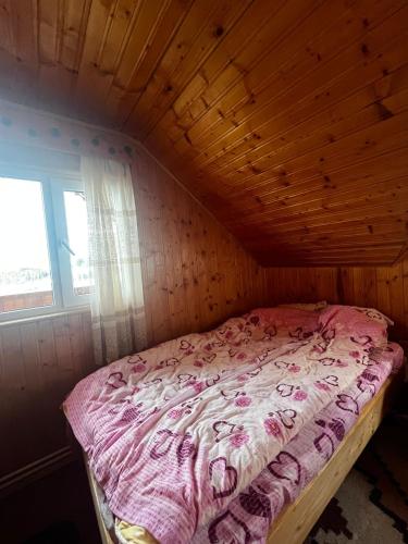 a small bed in a wooden room with a window at Cabana Alexe Mărișel in Mărişel