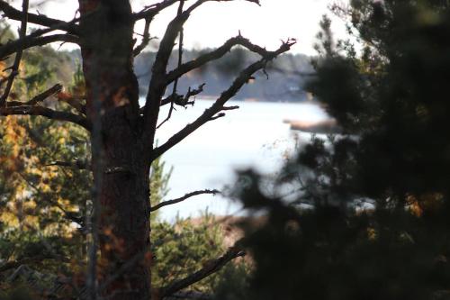 Billede fra billedgalleriet på Cottage Charm - Cozy Getaway in the Archipelago i Naantali