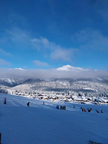 a group of people skiing down a snow covered slope at Hotel Bei Maria in Bilstein