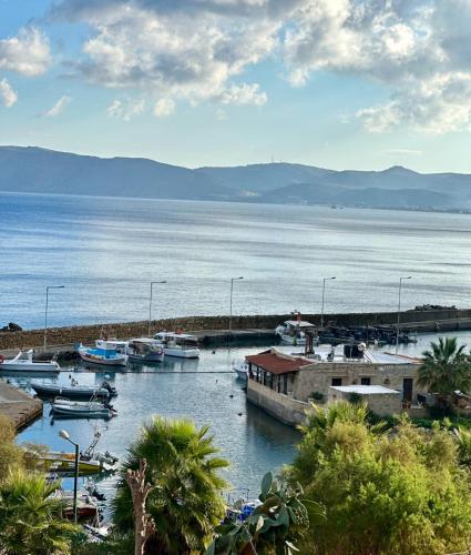a group of boats docked in a marina on the water at Villas Vista Del Mar in Kissamos