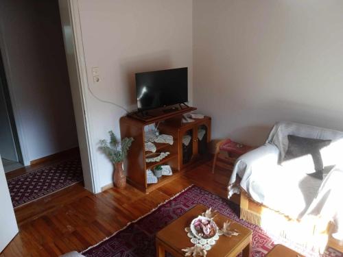 a living room with a bed and a tv at Kria Vrisi in Anthochórion