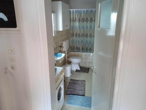 AnthochórionにあるKria Vrisiのトイレと洗面台のある小さなバスルーム
