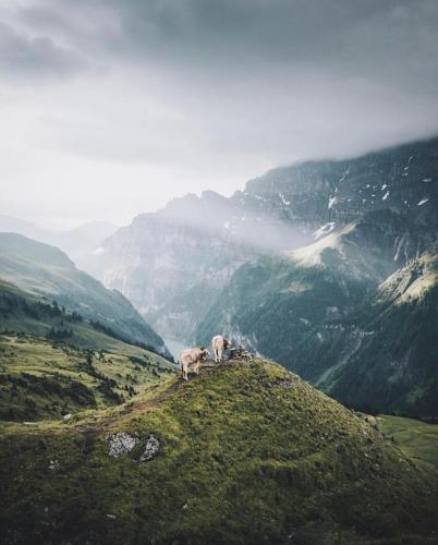 Paesaggio naturale nelle vicinanze dell'hotel