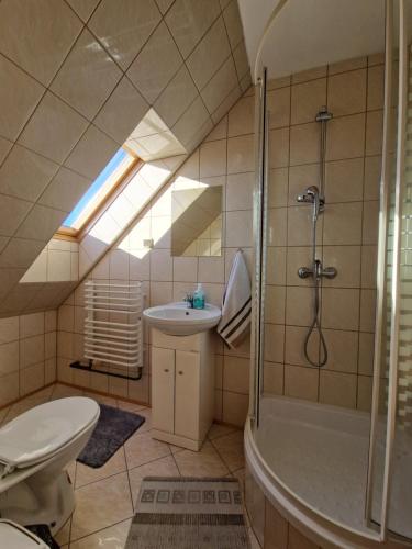 a bathroom with a shower and a toilet and a sink at Pokoje Gościnne u Cześka in Kluszkowce