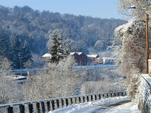 a snow covered road with a fence and trees at Séchoir_28 in Hastière-par-delà