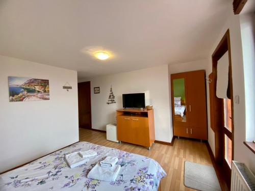 a bedroom with a bed and a tv in it at Casa Genesini in Miercurea-Ciuc