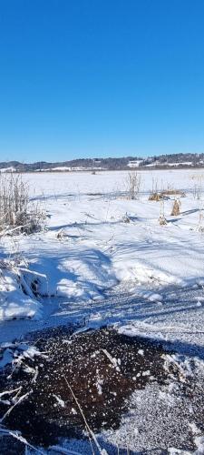 a field covered in snow and ice with a field at Boutique Hotel Angerer in Murnau am Staffelsee