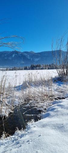 a field covered in snow with grass and weeds at Boutique Hotel Angerer in Murnau am Staffelsee