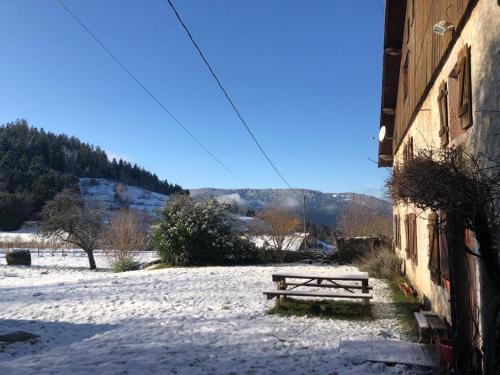 La Louve – Photos 4