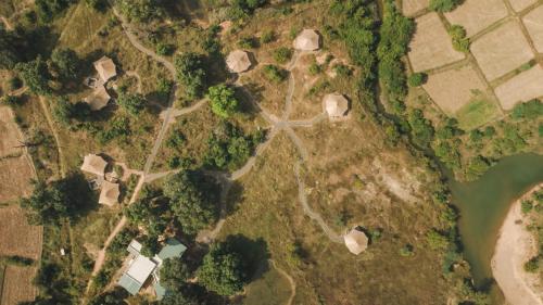 an overhead view of a park with trees and buildings at Trees N Tigers, Tadoba in Kolāra