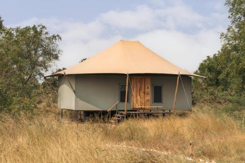 a yurt with a thatched roof in a field at Trees N Tigers, Tadoba in Kolāra