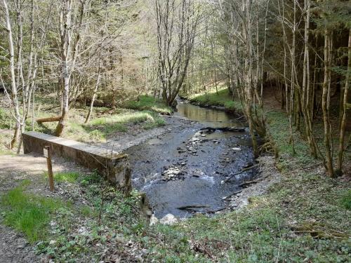 a bridge over a stream in a forest at B&B Le bruissement in Bièvre