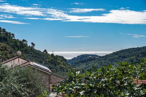 a view of a mountain with trees and a building at Agriturismo La Rocca in San Bartolomeo al Mare