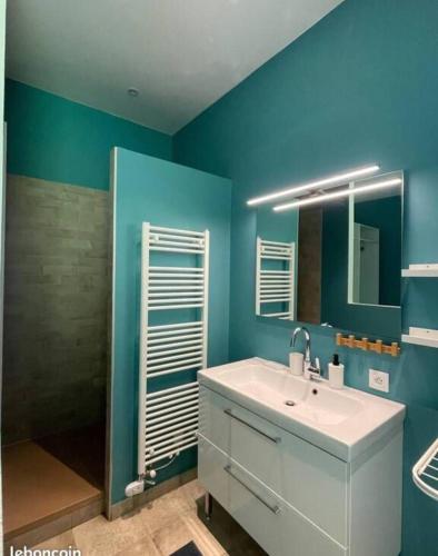 La salle de bains bleue est pourvue d'un lavabo et d'une douche. dans l'établissement Appartement cosy avec vue imprenable sur le parc d’uriage, à Saint-Martin-dʼUriage