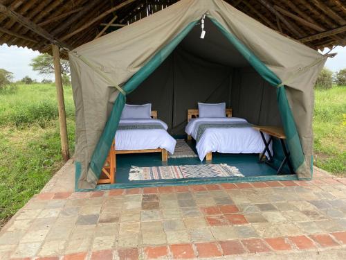 2 camas en una tienda verde en Amboseli Discovery Camp, en Amboseli
