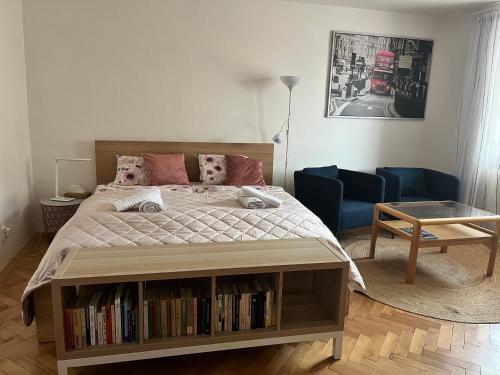1 dormitorio con 1 cama y estantería con libros en Apartmán Simmy, en Modřice