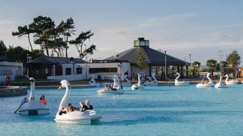 a group of people riding on swans in the water at Sea La Vie in Bangor