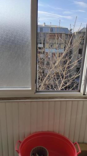 Gallery image of AYXAN HOSTEL in Ganja