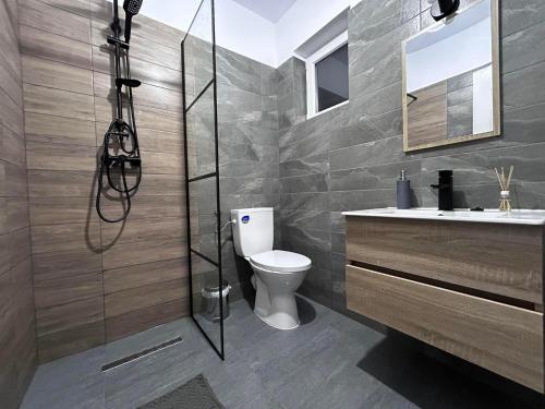 a bathroom with a shower and a toilet and a sink at Casa Irinei in Poiana Mărului