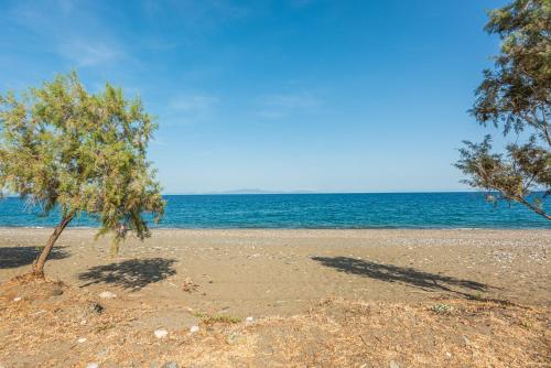 two trees on a beach with the ocean at Aegean View in Vasiliká