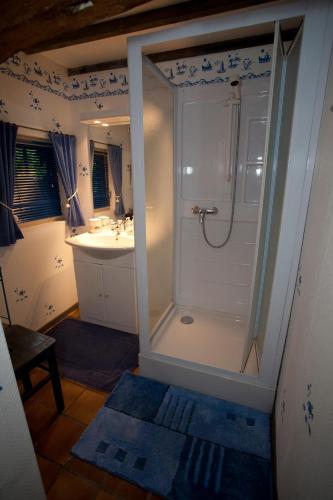 une salle de bain avec douche et lavabo dans l'établissement La Gran'Porte, à Troisvaux