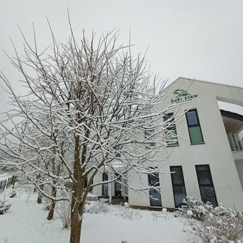 a tree covered in snow in front of a building at Żabi Staw in Supraśl