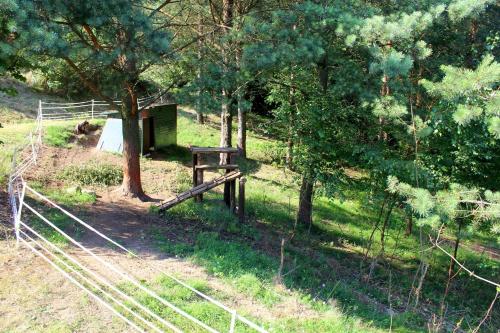 a field with a fence and a shed in the woods at Lesny Apartament in Ostrzyce