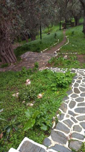 Taman di luar Summer Sunrise Andros