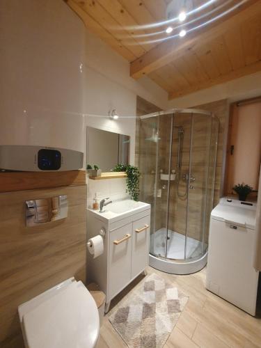 a bathroom with a shower and a toilet and a sink at Apartament Borowikowe Zacisze in Falsztyn