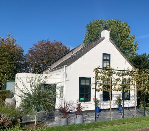 ein weißes Haus mit Pflanzen davor in der Unterkunft B&B De Vlasboerderij in Zonnemaire