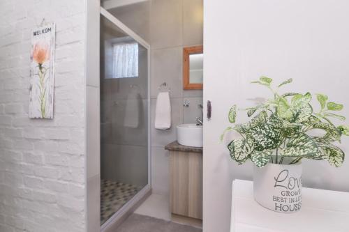 Un baño de The Cove