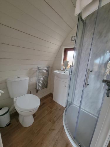 a small bathroom with a toilet and a shower at Handa pod in scottish highlands. in Scourie