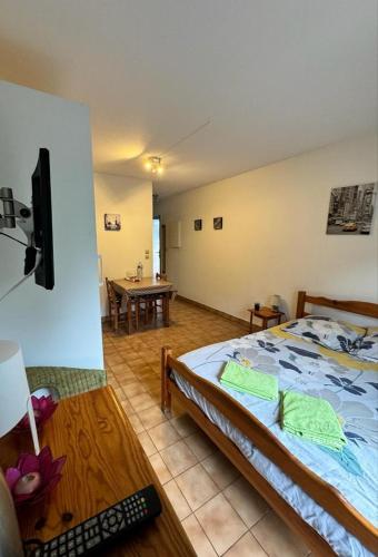 a bedroom with a bed and a tv in a room at Studio agréable de 21m2 in Balaruc-les-Bains