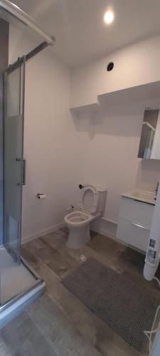 a white bathroom with a toilet and a shower at Chambre promenade des anglais in Nice