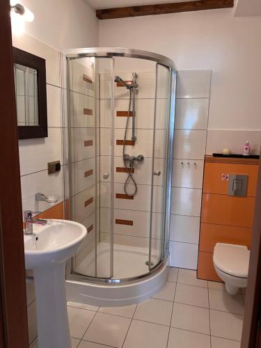 a bathroom with a shower and a sink at LedowoHouse in Lędowo