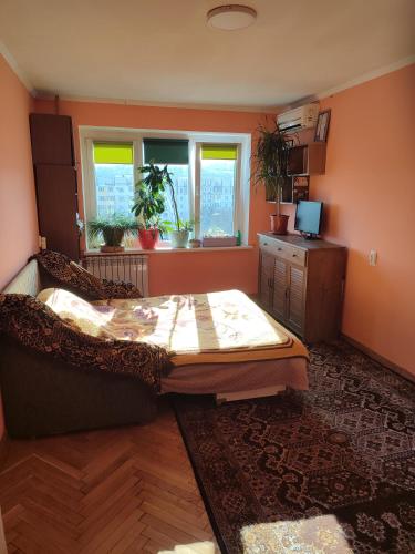 a living room with a bed and a television at One room in apartment in the park center area of Chisinau in Chişinău