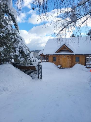 Borowikowe Zacisze drewniane domy z dostępem do balii i sauny semasa musim sejuk