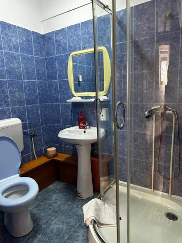 a bathroom with a toilet and a sink and a shower at Pensiunea Daiadela in Duşeşti