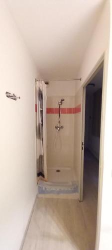 W pokoju znajduje się łazienka z prysznicem. w obiekcie Le splendid Allevard w mieście Allevard